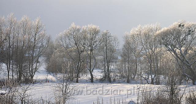 owczarekpodhalanski_0163.jpg - Zima 2009/2010