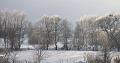 owczarekpodhalanski_0163