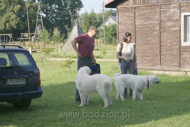 podhalan_06415.jpg - Owczarek Podhalański - KOKIETKA KESSI i PRZYMILNY PERS Badziar na Mazurach