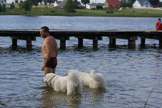 podhalan_06574.jpg - Owczarek Podhalański - KOKIETKA KESSI i PRZYMILNY PERS Badziar na Mazurach