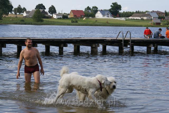 podhalan_06579.jpg - Owczarek Podhalański - KOKIETKA KESSI i PRZYMILNY PERS Badziar na Mazurach