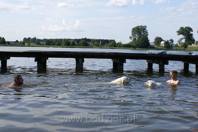 podhalan_06597.jpg - Owczarek Podhalański - KOKIETKA KESSI i PRZYMILNY PERS Badziar na Mazurach