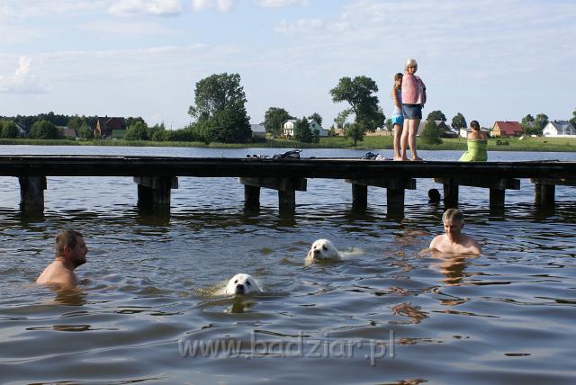 podhalan_06598.jpg - Owczarek Podhalański - KOKIETKA KESSI i PRZYMILNY PERS Badziar na Mazurach