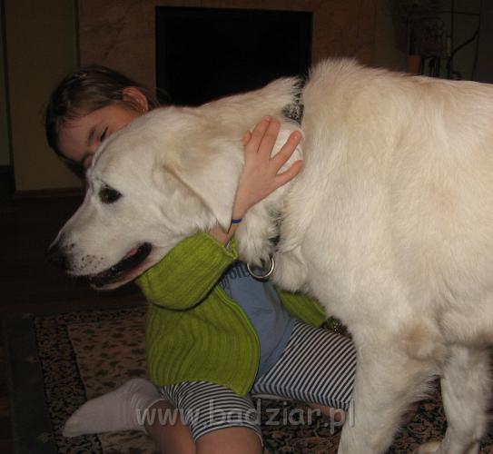 podhalan_4910.jpg - Owczarek podhalański - BYSTRA BORA Badziar ... a po spaniu - zabawa...
