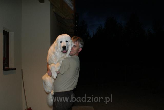 podhalan_01168.jpg - Owczarek Podhalański - KOKIETKA KESSI Badziar (10 miesięcy)