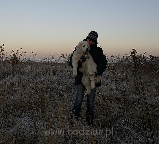 podhalan_05080.jpg - Owczarek Podhalański - KOKIETKA KESSI Badziar (4 miesiące)