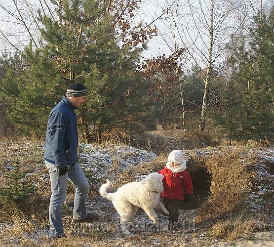 podhalan_05137.jpg - Owczarek Podhalański - KOKIETKA KESSI Badziar (4 miesiące)