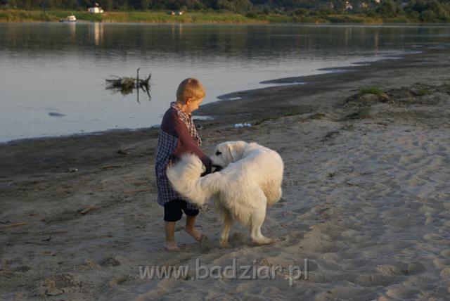 podhalan_06093.jpg - Owczarek Podhalański - KOKIETKA KESSI Badziar (11 miesięcy)