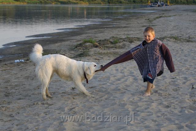podhalan_06100.jpg - Owczarek Podhalański - KOKIETKA KESSI Badziar (11 miesięcy)