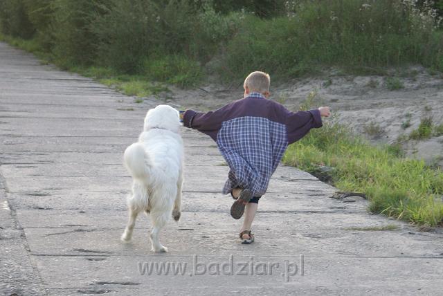 podhalan_06134.jpg - Owczarek Podhalański - KOKIETKA KESSI Badziar (11 miesięcy)