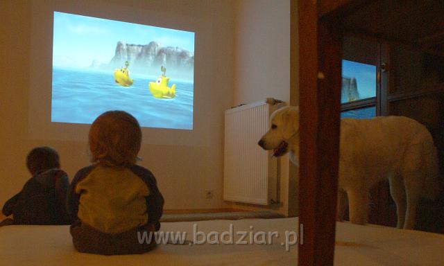 podhalan_09198.jpg - Owczarek Podhalański - KOKIETKA KESSI Badziar (15 miesięcy)