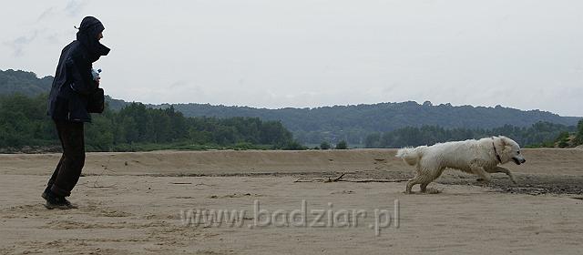podhalan_09615.jpg - Owczarek Podhalański - KOKIETKA KESSI Badziar (9 miesięcy)