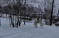 owczarekpodhalanski_0139