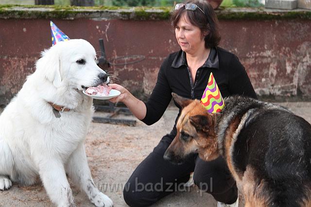 Kaza1gads0001.jpg - Owczarek Podhalański - KUM KARAVAGIO Badziar (12 miesięcy) - Pierwsze Urodziny