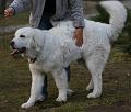 Suni7men0002