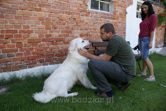 podhalan_06671.jpg - Owczarek Podhalański - od lewej KUMOTER KARAT Badziar (11 miesięcy),