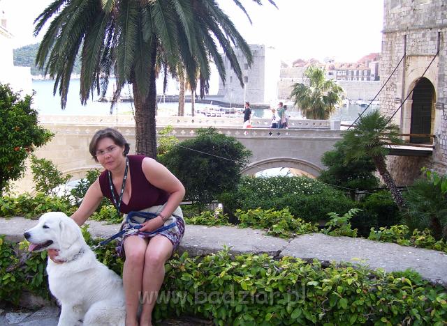 podhalani_1005.jpg - Owczarek podhalański - PRZYLEPA PUMA Badziar Dubrovnik