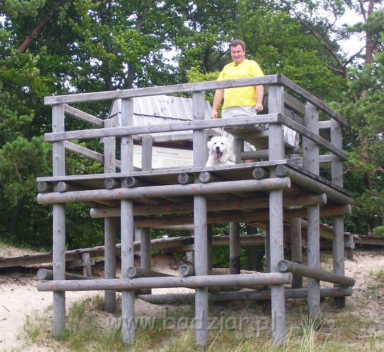 podhalani_1123.jpg - Owczarek podhalański - PRZYLEPA PUMA Badziar Orzechowska Wydma - zdobyta !