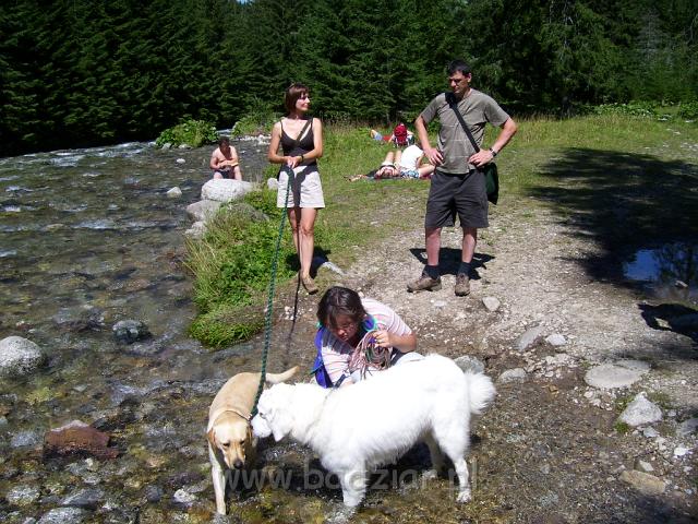podhalani_1388.jpg - Owczarek podhalański - PRZYLEPA PUMA Badziar z przyjaciółka Elzą