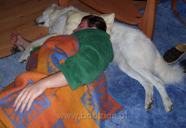 podhalani_1632.jpg - Owczarek podhalański - PRZYLEPA PUMA Badziar i jej Pan