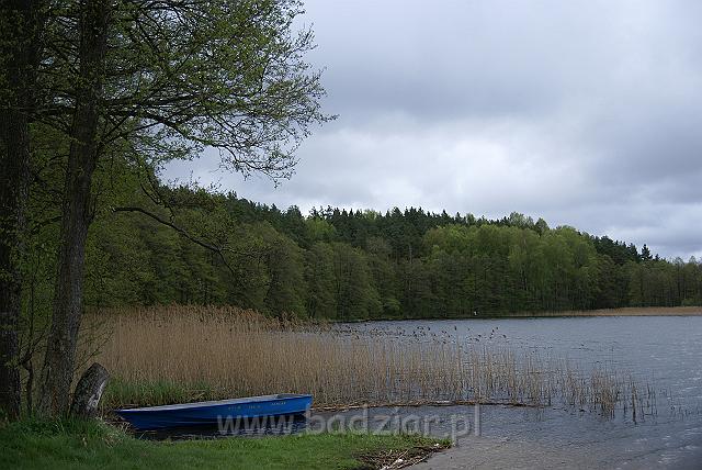 owczarekpodhalanski_01634.jpg - Mazury