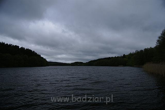owczarekpodhalanski_01643.jpg - Mazury