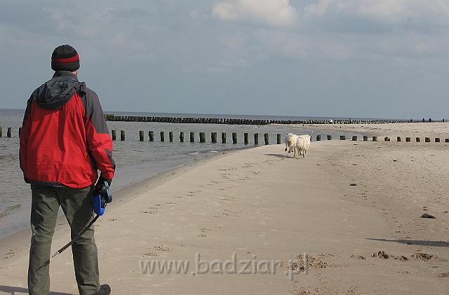 podhalan_0067.jpg - Owczarek Podhalański - PRZYMILNY PERS Badziar i PRZEKORNA PROXIMA Badziar