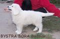 bora1014