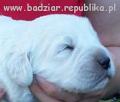 sunia2003