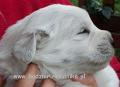 sunia2005