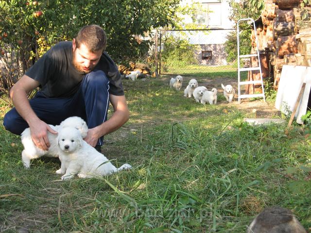 ps_2315.jpg - Dwa odwracają uwagę a reszta szykuje się do szturmu.
