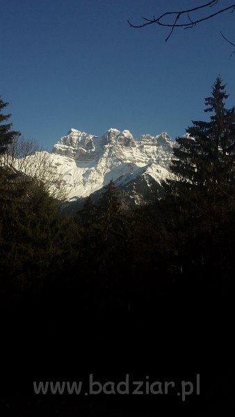 20150409_174443.jpg - :)