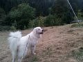 20131006_175735