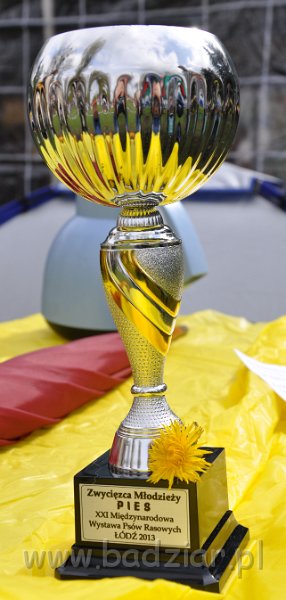 owczarek-podhalanski-0210.jpg - Trofeum Fabiego :)