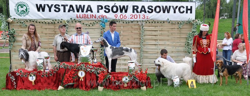 owczarek-podhalanski-0998.jpg - BIS Ras Polskich - lok. IV - Owczarek podhalański - FAWORYT FABI Badziar (13 miesięcy)