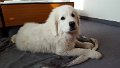 20170415_175518