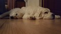 20170424_231844_resized