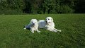 20170430_175111_resized