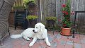 20170618_181636_resized