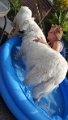 20170622_154423_resized
