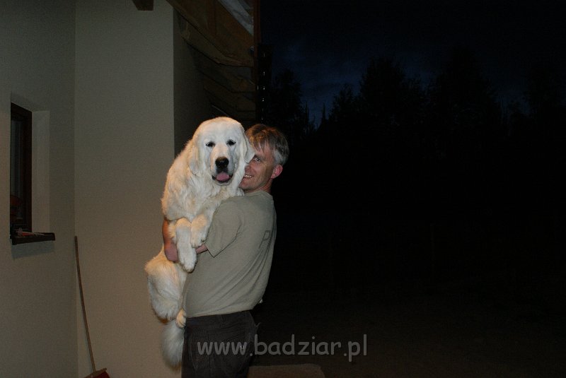 podhalan_01168.jpg - Owczarek Podhalański - KOKIETKA KESSI Badziar (10 miesięcy)