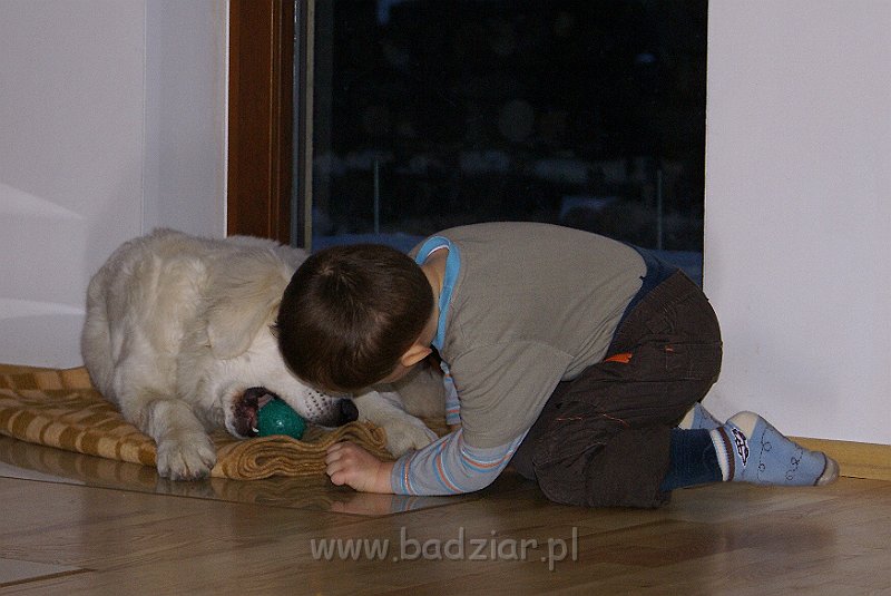 podhalan_05712.jpg - Owczarek Podhalański - KOKIETKA KESSI Badziar (5 miesięcy)