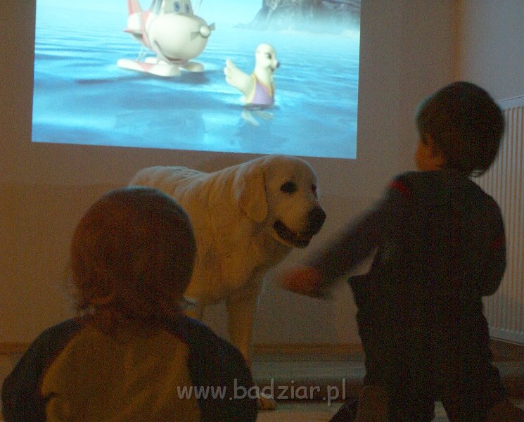 podhalan_09193.jpg - Owczarek Podhalański - KOKIETKA KESSI Badziar (15 miesięcy)