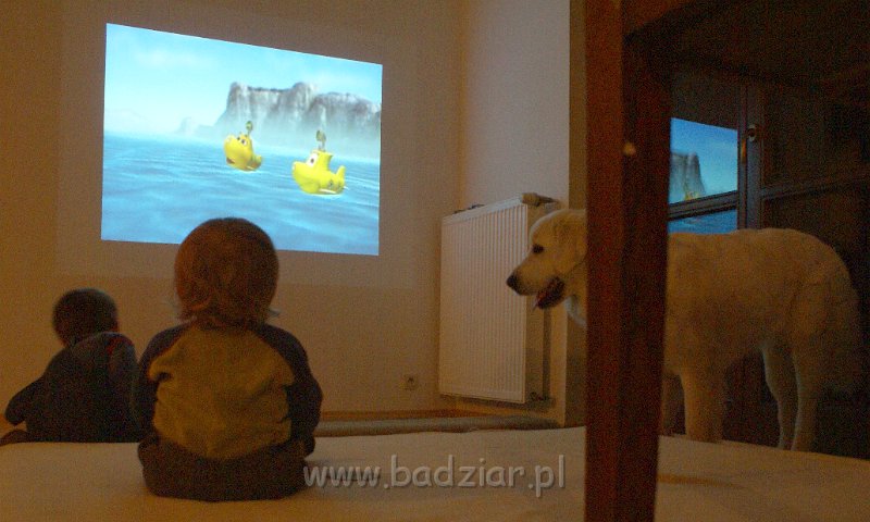 podhalan_09198.jpg - Owczarek Podhalański - KOKIETKA KESSI Badziar (15 miesięcy)