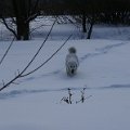 DSC09728