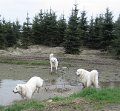 podhalan_0275