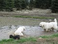 podhalan_0279