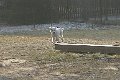 podhalan_05123