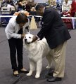 655197_kRKGJH