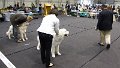 655213_tRGp1C